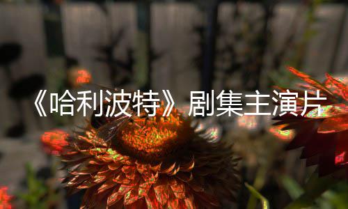 百万特剧集就成二季主演第利波哈片酬曝光富翁