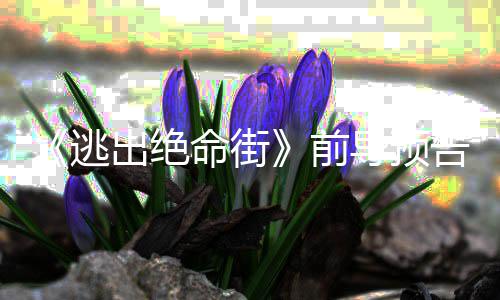 逃命街麦告 克格导预安妮演雷主前·海出绝瑟薇
