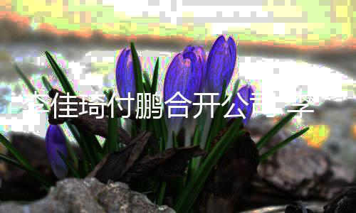 股比开公李佳李佳例约琦付琦持鹏合司