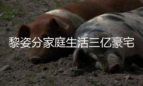 庭生景曝光 公很恩爱宅内亿豪与富黎姿活三豪老分家